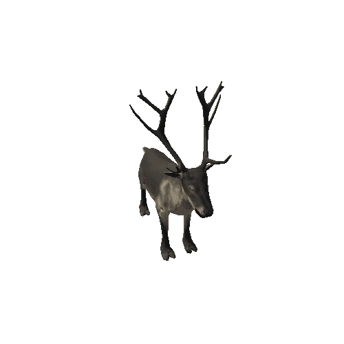Reindeer_RM_FV_SLP (1)